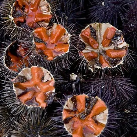 Residenze Benedetto Croce Pensionat 3*