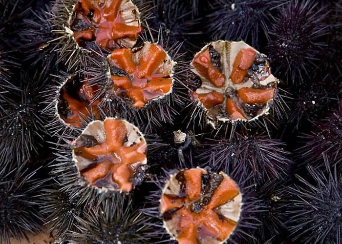 Residenze Benedetto Croce בית הארחה 3*